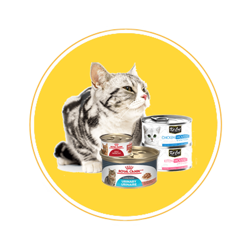 cat canned food3