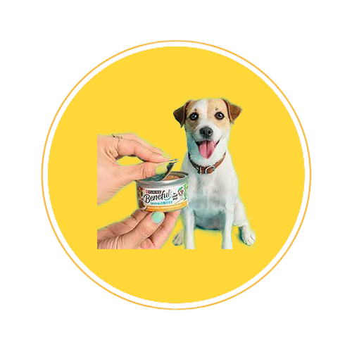 dog canned food