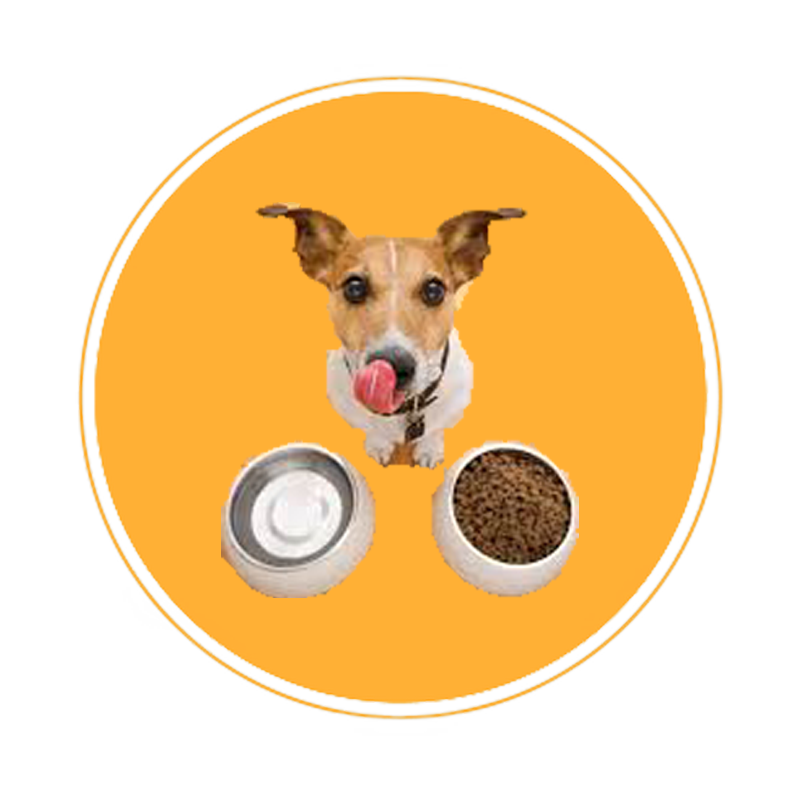 dog dry food