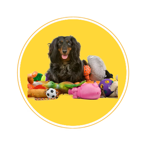 dog toy